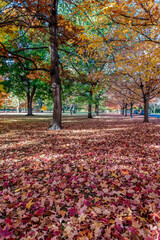 Autumn Scenery in Corbin Park. Spokane, Washington.