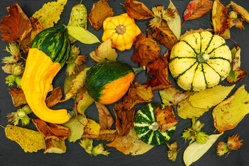 Autumn still life with pumpkins and leaves.