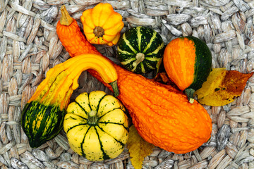 Autumn still life with pumpkins and leaves.