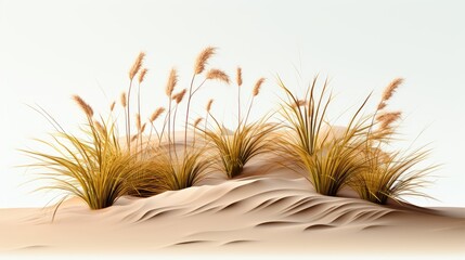 Dunes de sable