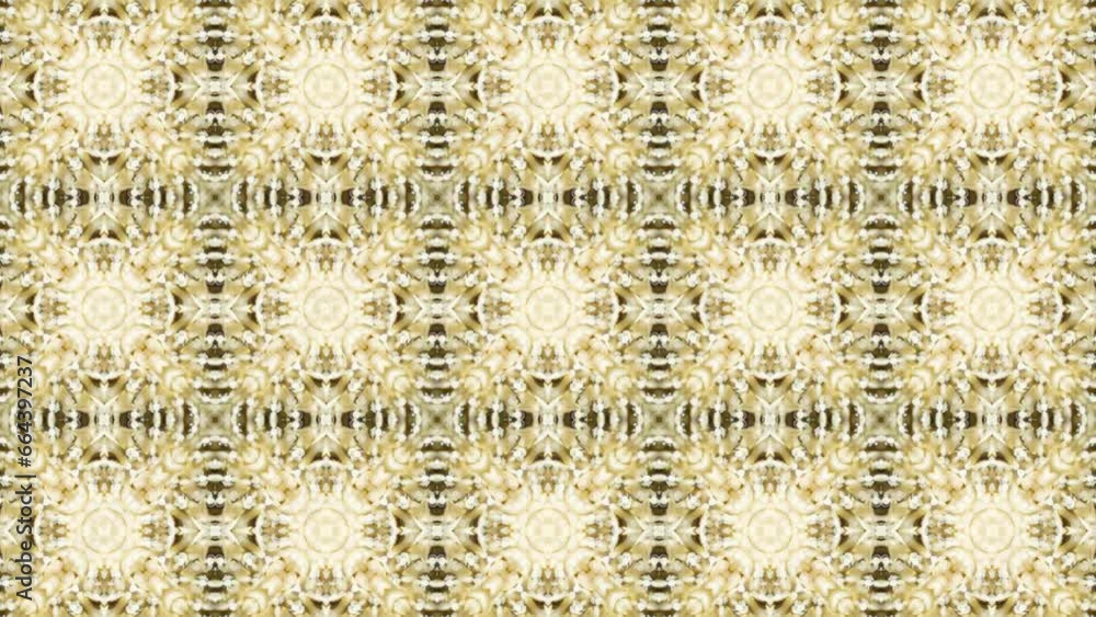Poster abstract kaleidoscope background video. psychedelic seamless loop background.