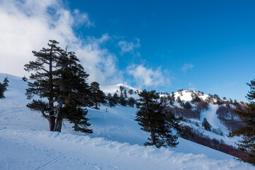 Breathtaking scenery on the snowy slopes of Vasilitsa ski center, Grevena, Greece