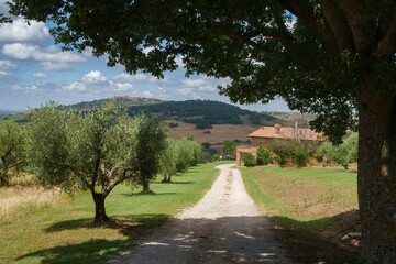 Rural landscape in Tuscany near Pienza