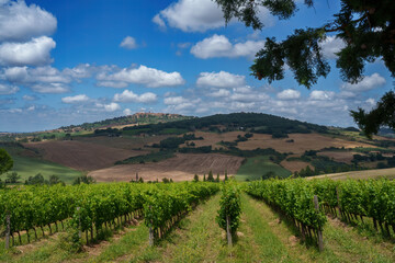 Rural landscape in Tuscany near Pienza