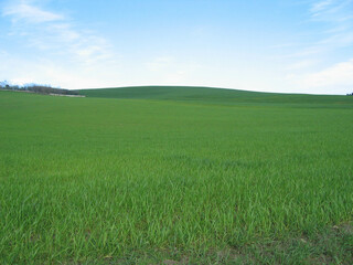 Fototapeta premium Hills