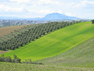 Obraz premium Hills