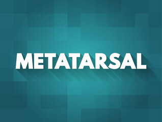 Metatarsal - group of five long bones in the foot, text concept background