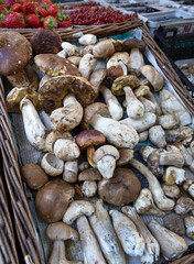 Fungus and Mushroom at the market. City of Wiesbaden Germany Hesse.