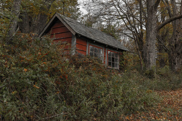 Fototapeta na wymiar Abandoned shed in the Delaware Water Gap National Recreation Area