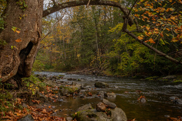 Flatbrook River tumbles over rocks on an early fall afternoon