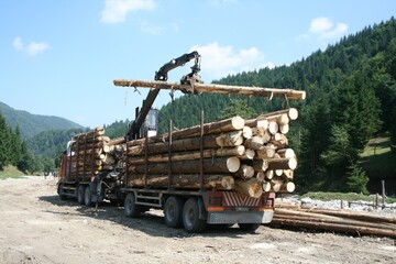 A sturdy truck carrying a heavy load of logs securely strapped on its flatbed, ready for transport.