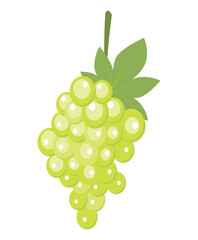 Bunch of green grape isolated icon on white background. Vector illustration.