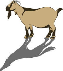 goat silhouette and vector illustration design with wolf shadow