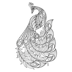 Peacock hand drawn for adult coloring book
