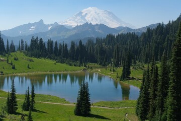 Scenic view of the Mount Rainier National Park.