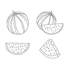 Watermelon fruit in doodle hand drawn style. Set of vector illustrations isolated on white background.