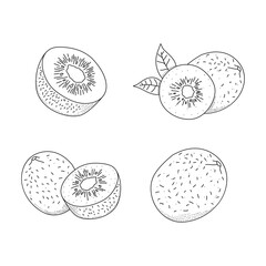 Hand drawn icon set of kiwi fruit isolated on white background.