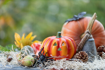 Autumn holiday decoration with halloween pumpkin head Jack lantern and fresh pumpkins on straw