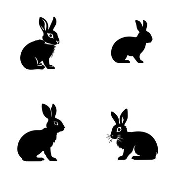 set of rabbits