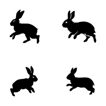 silhouettes of rabbit