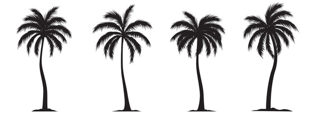 Obraz premium Collection of a black palm trees shapes, silhouettes of an exotic plants. Illustration on transparent background