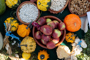 Autumn seasonal food collection, apple, pumpkin, beans.