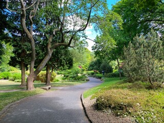 Fototapeta na wymiar Parkland, with a footpath, old trees, plants and flowers in, Lister Park, Bradford, UK