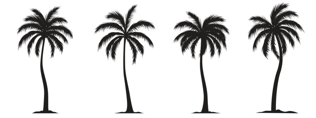 Collection of a black palm trees shapes, silhouettes of an exotic plants. Vector illustration isolated on white background - obrazy, fototapety, plakaty