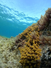 Fondo monta&ntilde;a roja.