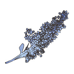Fototapeta na wymiar Digital png illustration of blue flowers on transparent background