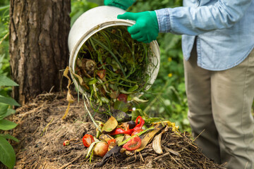 Compost heap pile with bio waste. Farmer hands put weeds grass plants, vegetable fruit scraps from...