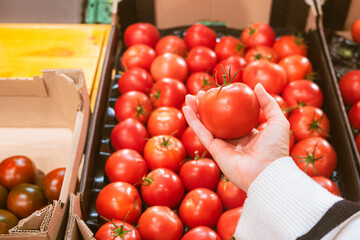 hand taking tomatoes from grocery store shelf