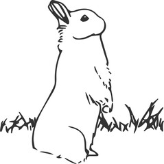 Fototapeta premium Digital png illustration of black bunny standing on transparent background