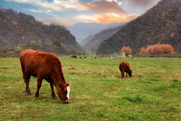 Hanzhong city in shaanxi province is the most beautiful countryside