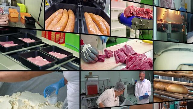 Food Production - Multi Screen Video. Meat Processing Plant. Bread Factory. Dairy Product Manufacturing. Sugar Production in Sugar Refinery. Food Processing. Food Manufacturing Industry.