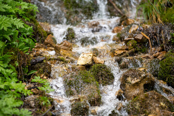 waterfall in the forest