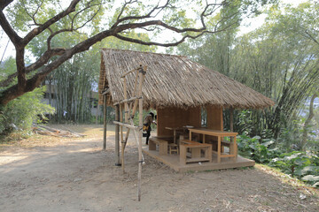Fototapeta na wymiar Feb 8 2015 making of bamboo house at the park