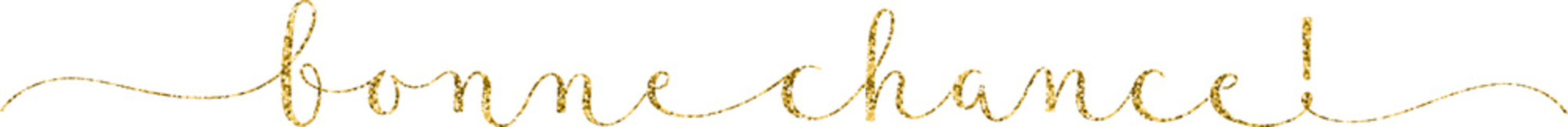 BONNE CHANCE! (GOOD LUCK! in French) gold glitter brush calligraphy with swashes on transparent background