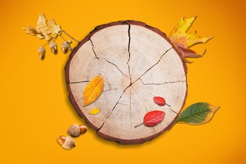 Podium wood saw cut with autumn leaves.