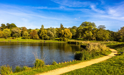 Hampstead Heath is an ancient heath in London, spanning 320 hectares. This grassy public space sits astride a sandy ridge, one of the highest points in London. - obrazy, fototapety, plakaty