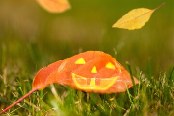 Bright colored leaf with emotion, on autumn background