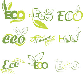 conceptual calligraphic lettering words eco