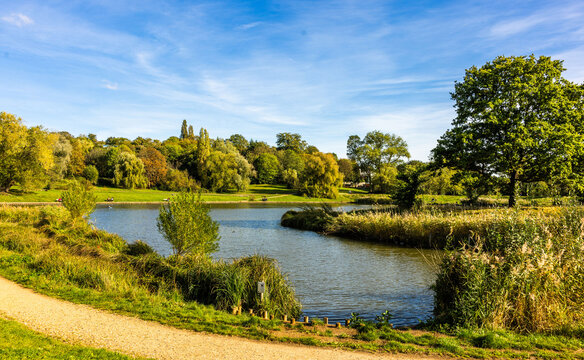 Hampstead Heath is an ancient heath in London, spanning 320 hectares. This grassy public space sits astride a sandy ridge, one of the highest points in London.