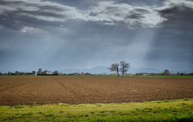 Cultivated land in the Po Valley