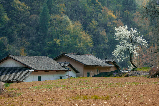 Shaanxi ankang mountainous dwellings