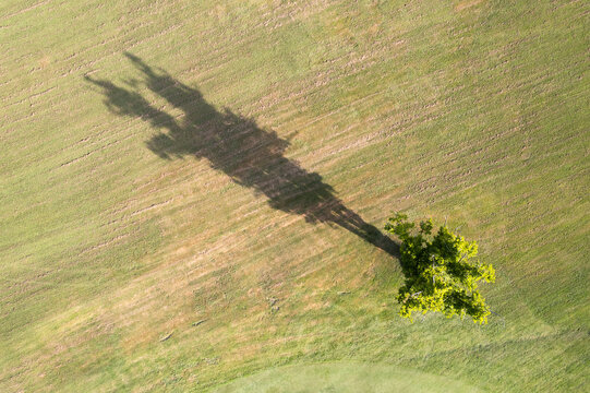 View of trees shadow aerial shot