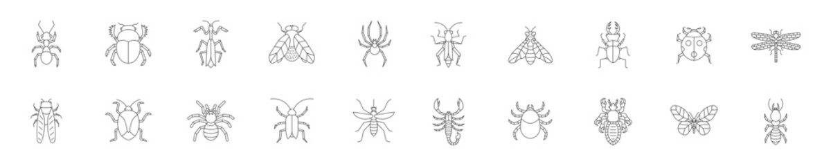 Set of icons with insects in linear style. Vector illustration. © Art Alex