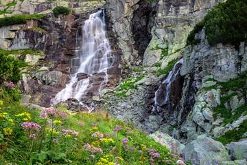 wildflowers near waterfall in summer - 664470651