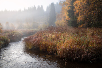 foggy autumn morning over river - 664470663