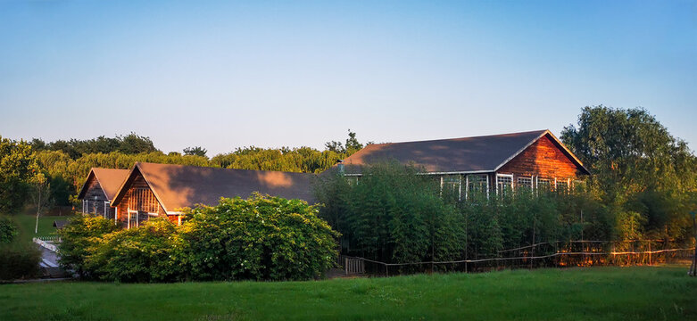 B&B Amidst the Greenery